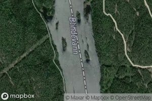 Blindevann