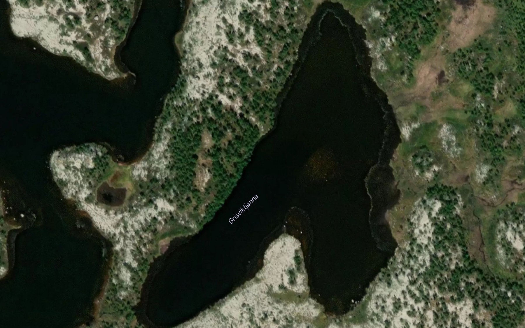 Satellite map of the Grisviktjorna