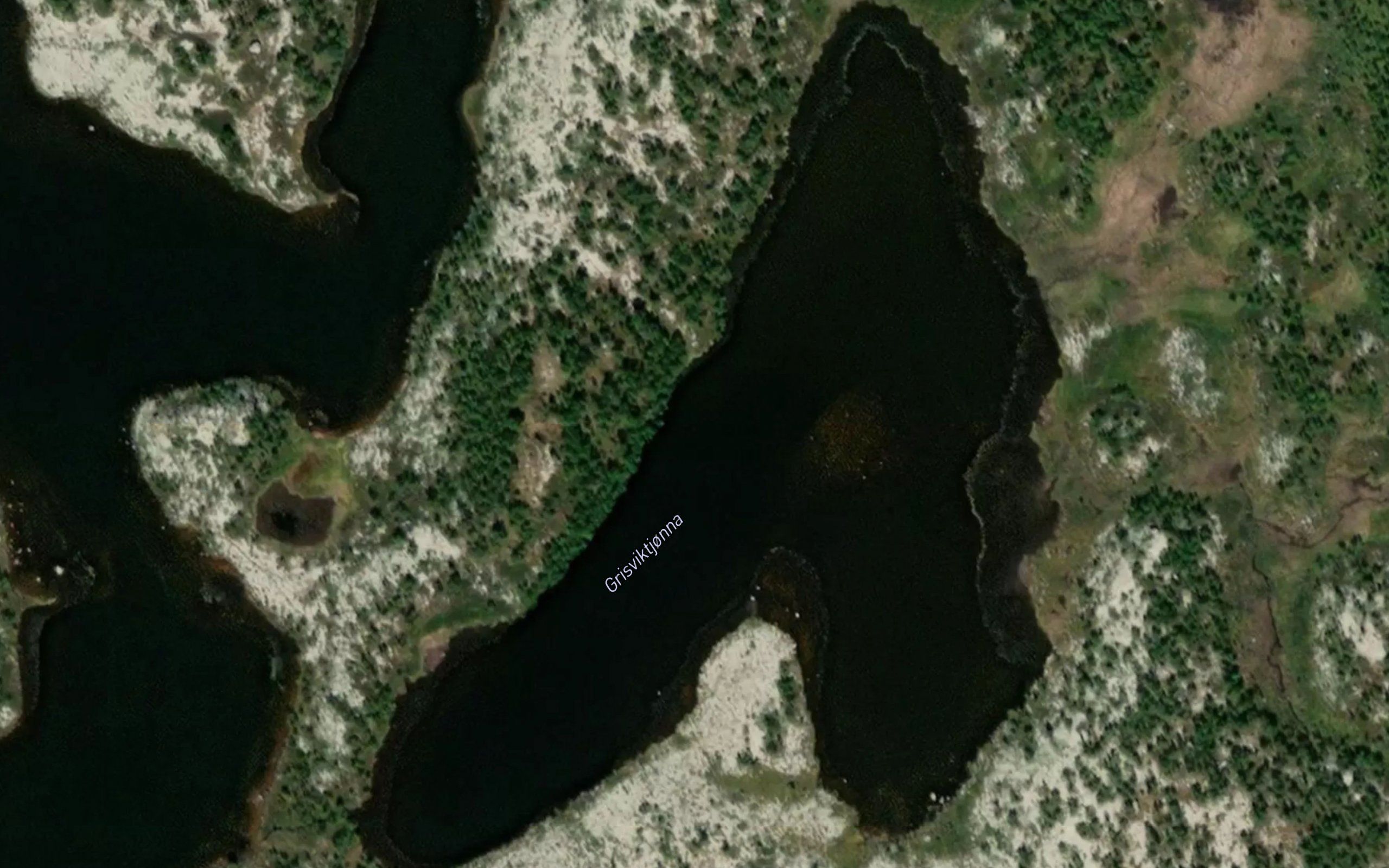 Grisviktjorna