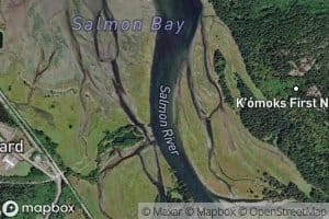 Salmon River
