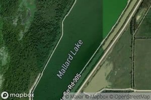 Mallard Lake