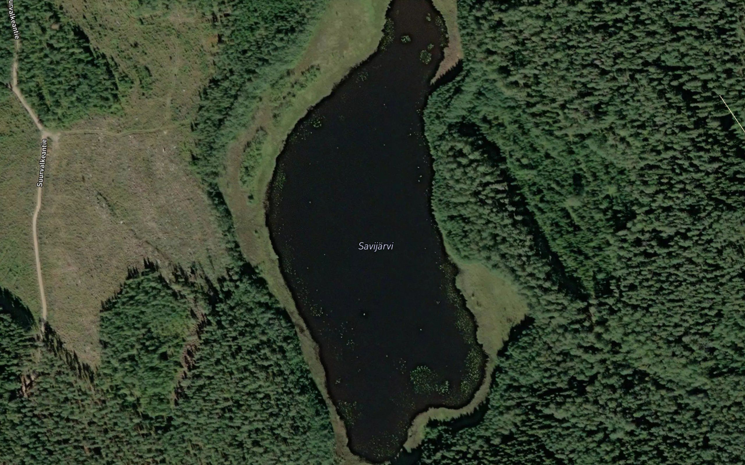 Savijarvi
