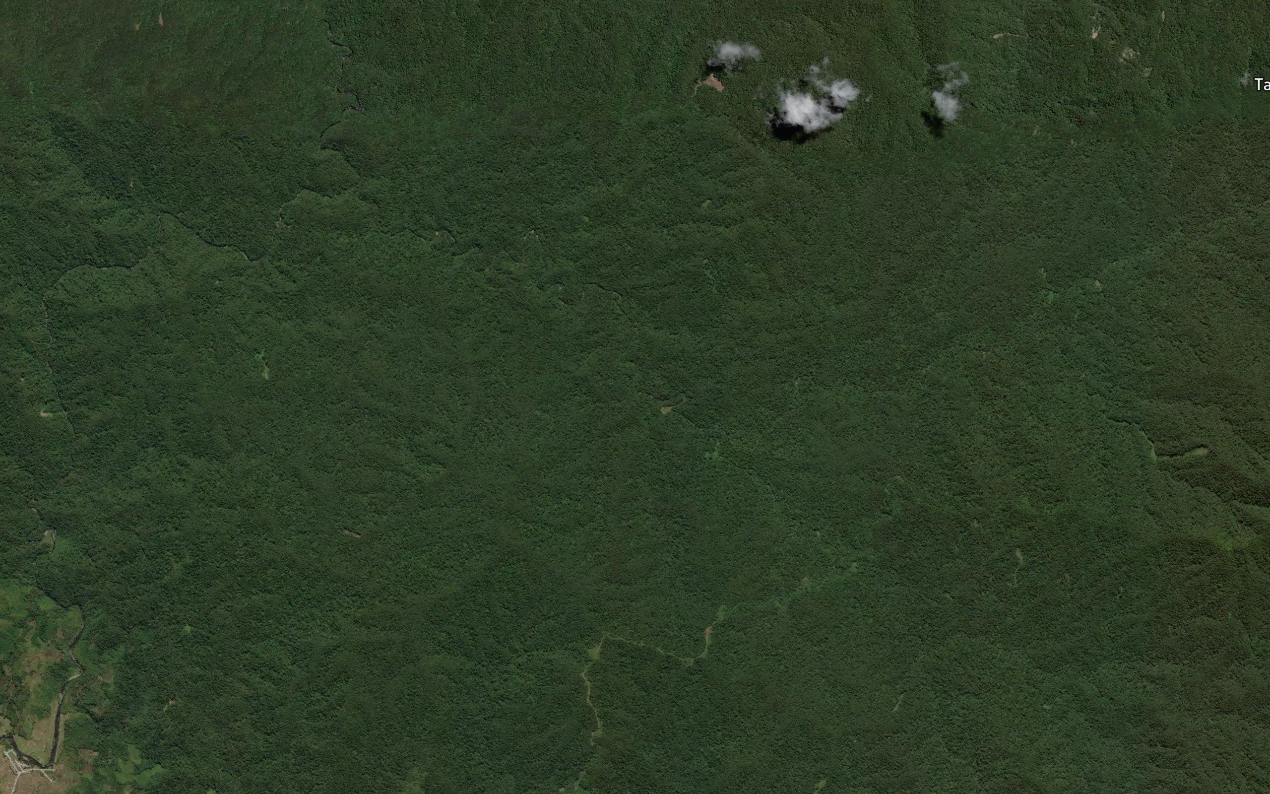 Salu Kalumea