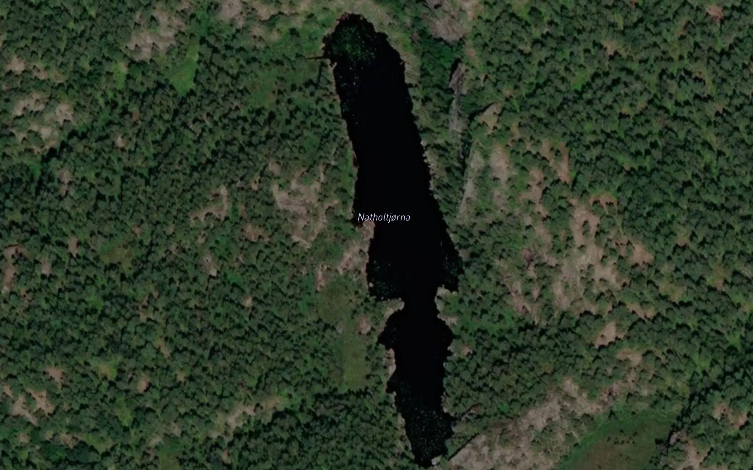 Natholtjorna