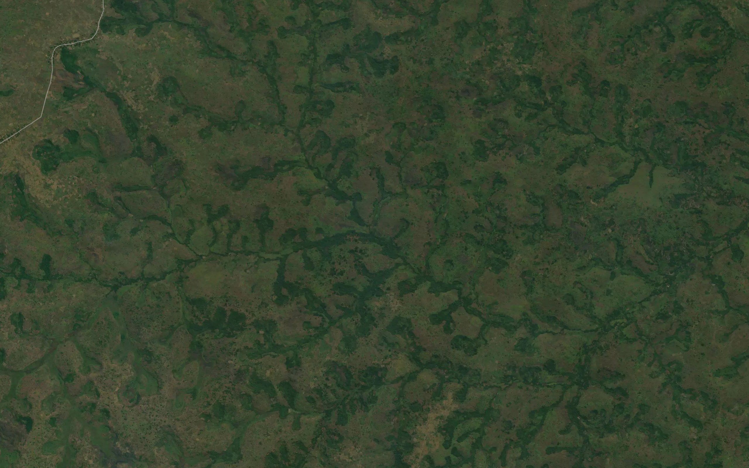 Nkunza