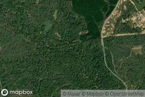 Birch Creek