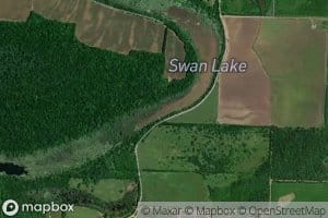 Swan Lake