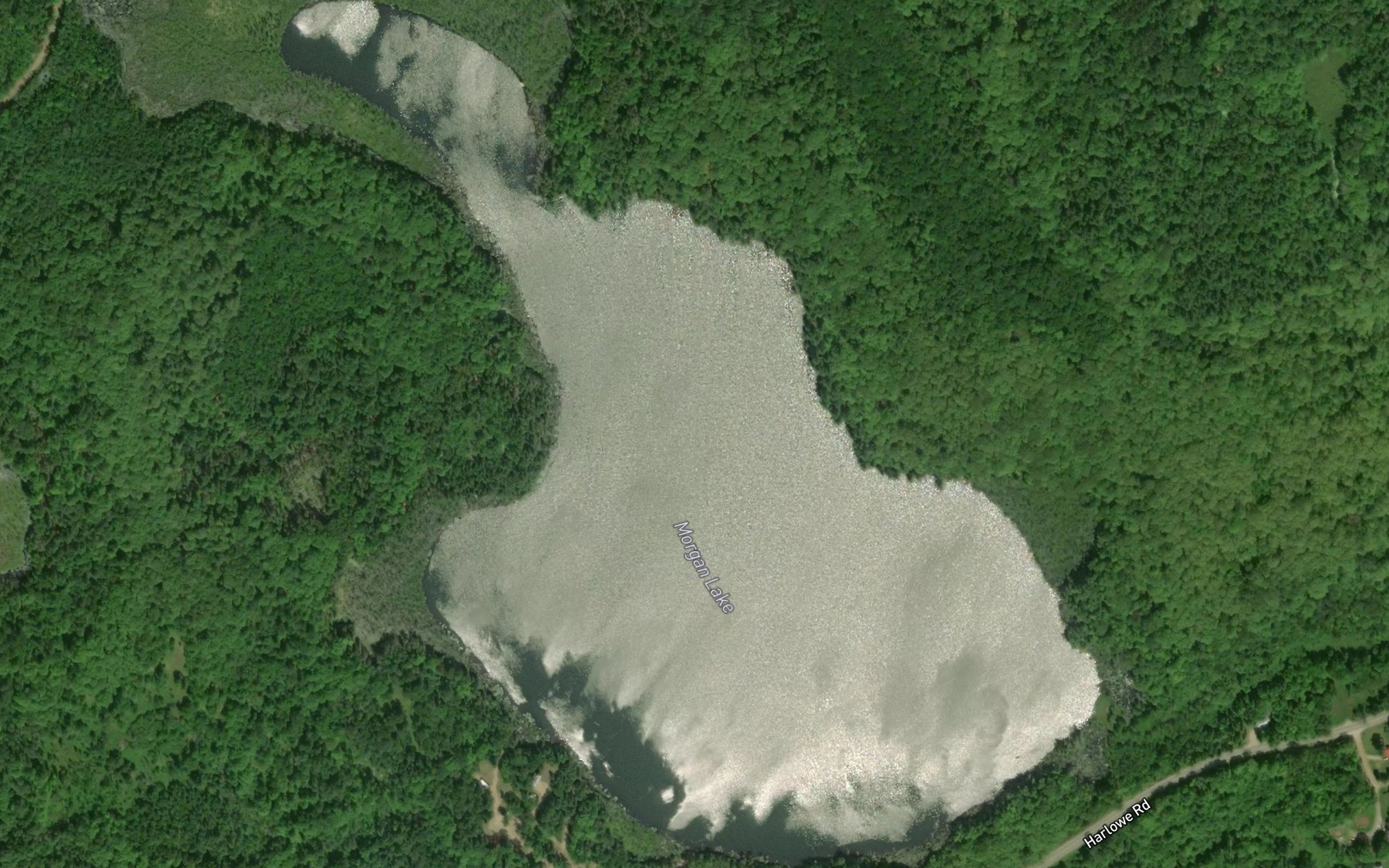 Satellite map of the Morgan Lake