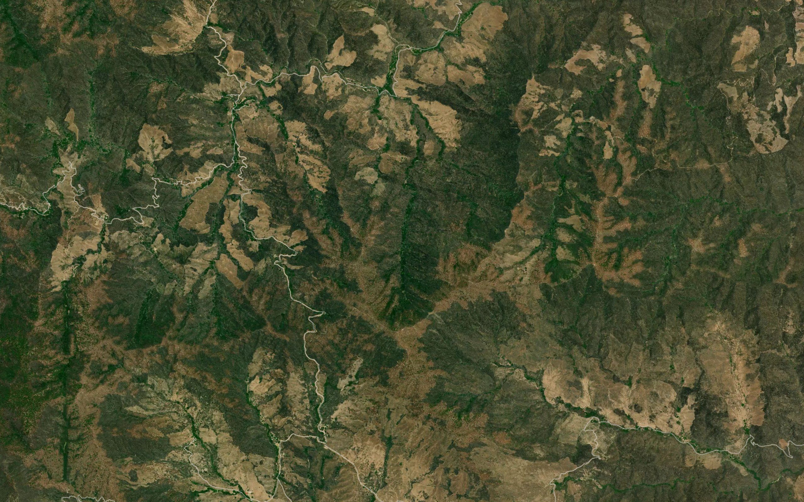 Barranca Larga