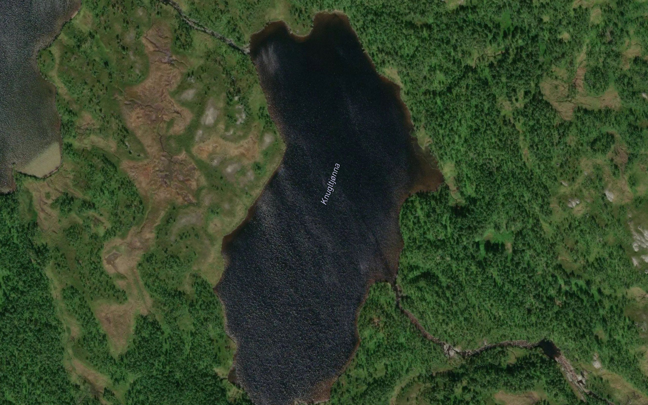 Knugltjonna