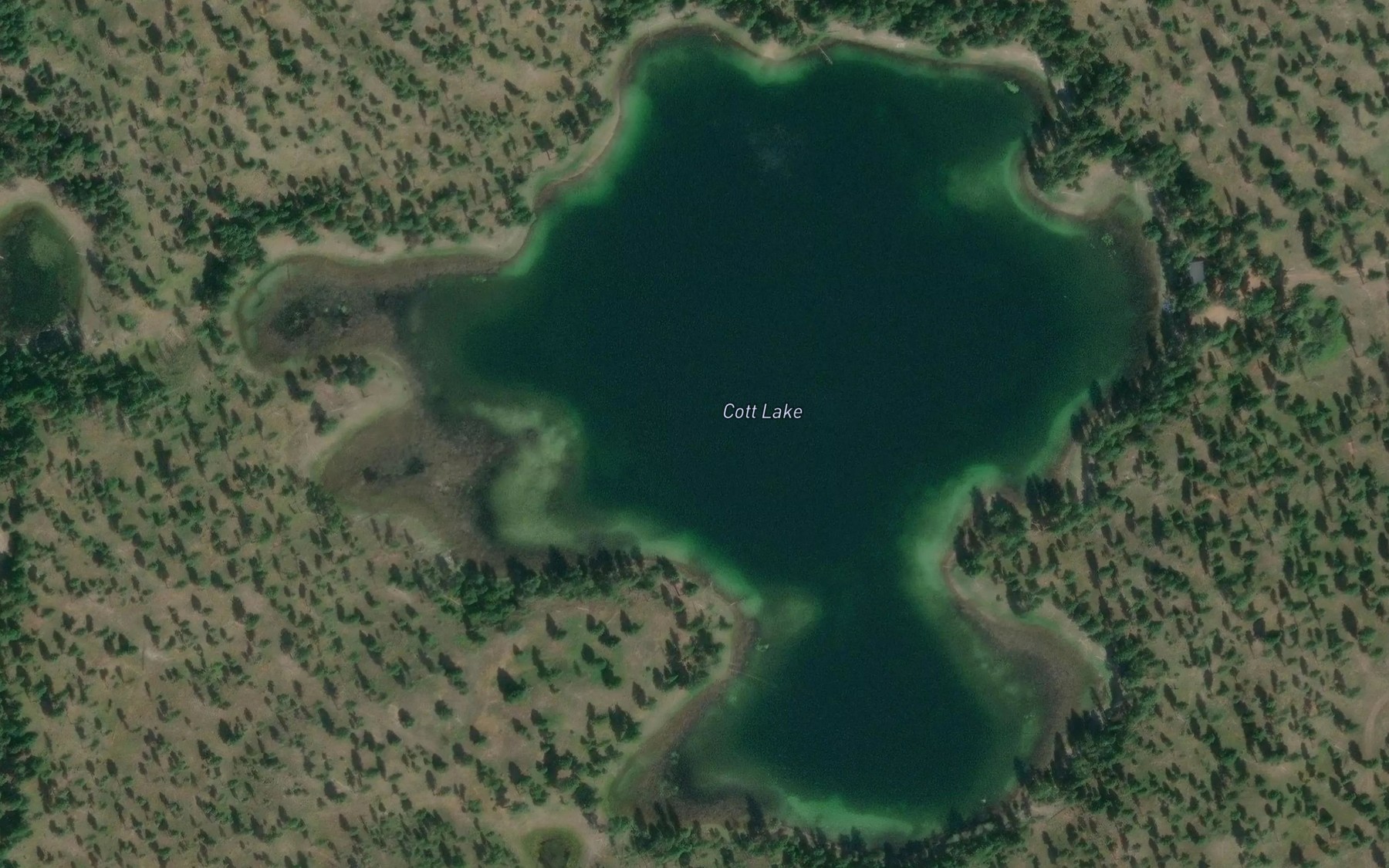Satellite map of the Cott Lake