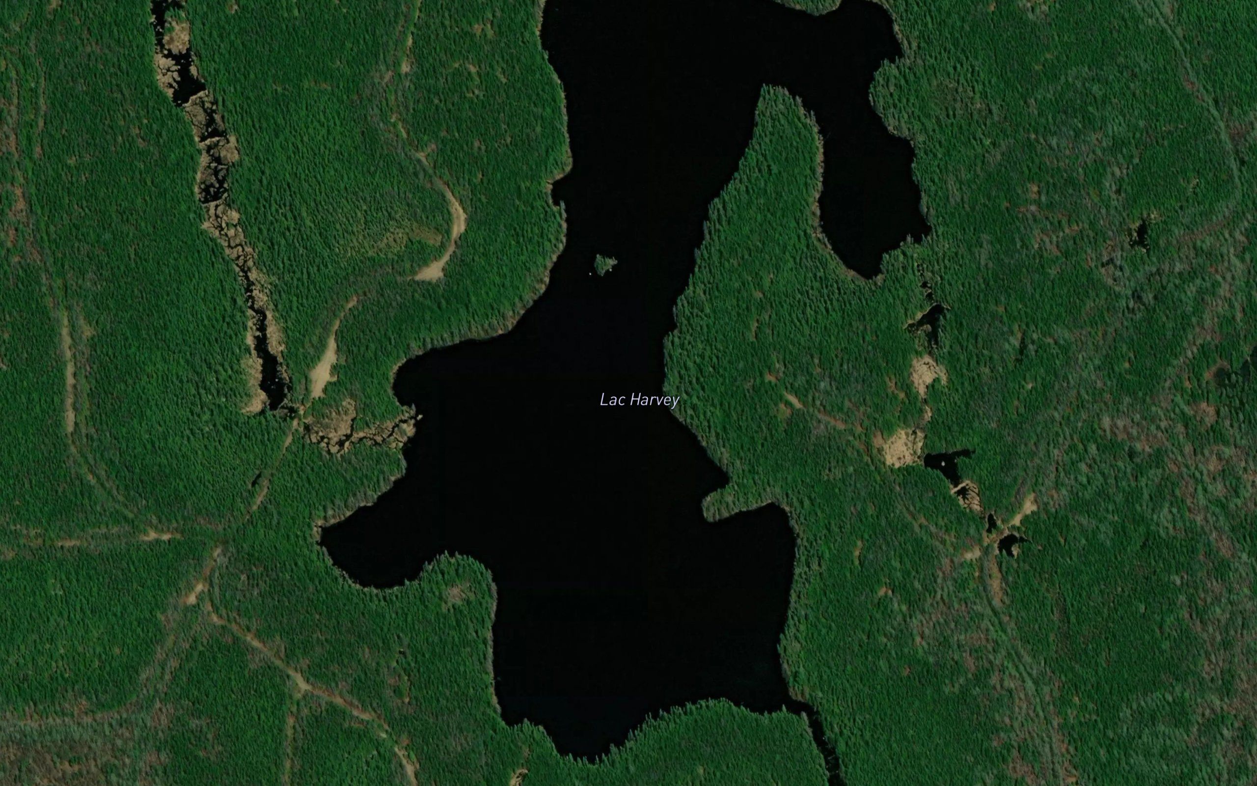Lac Harvey