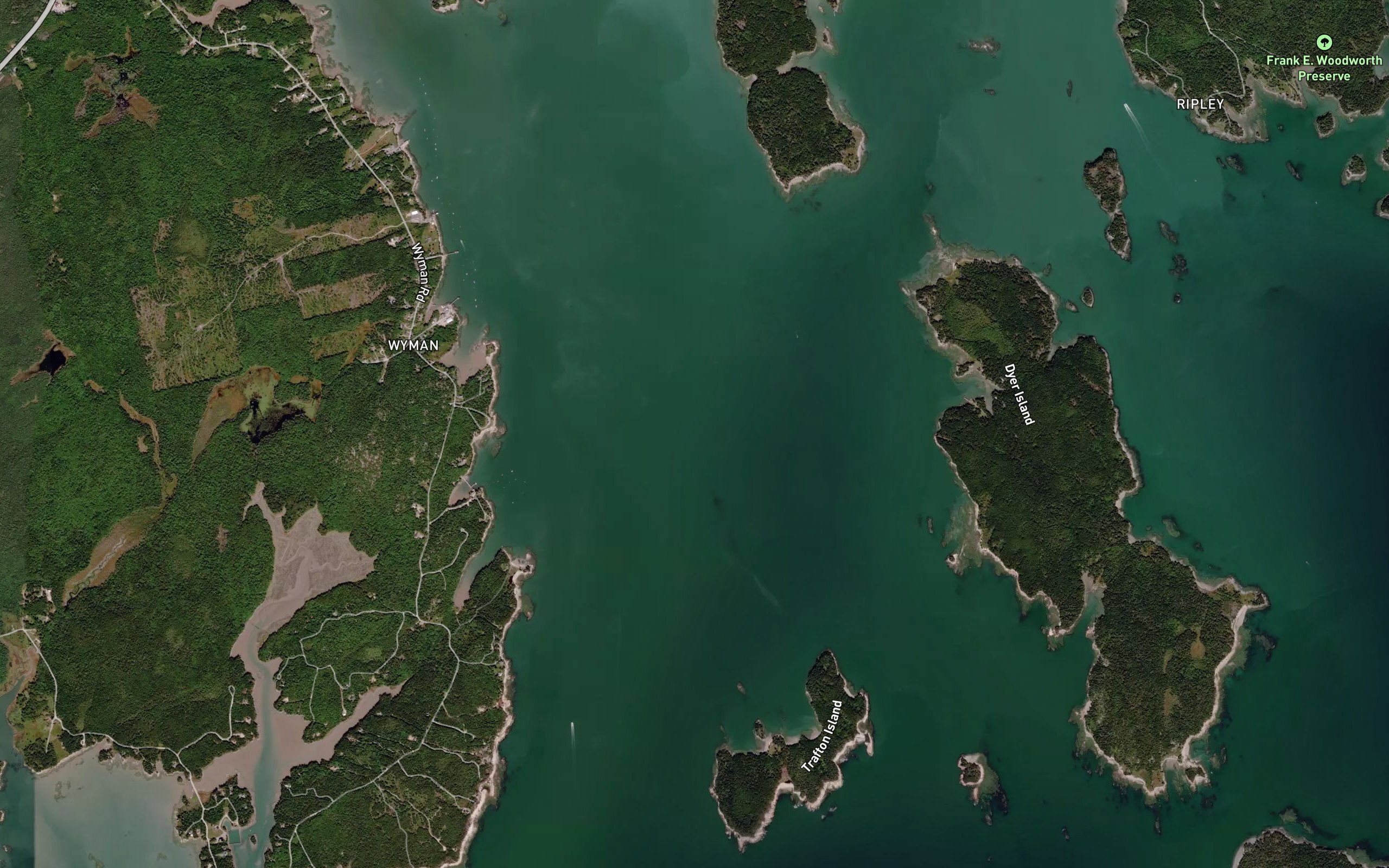 Narraguagus Bay
