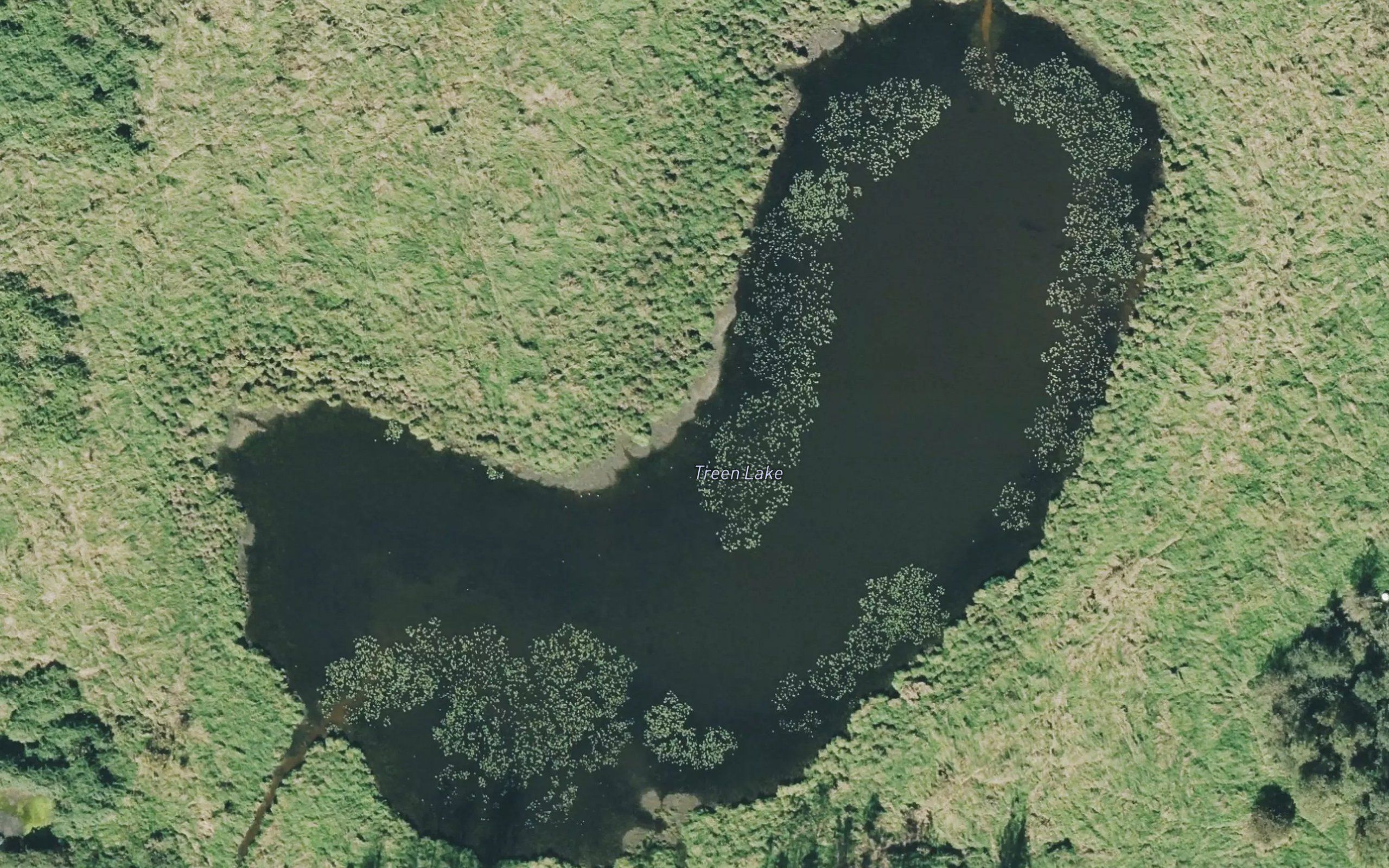 Treen Lake