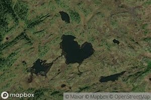 Auster Fjellslettjonna