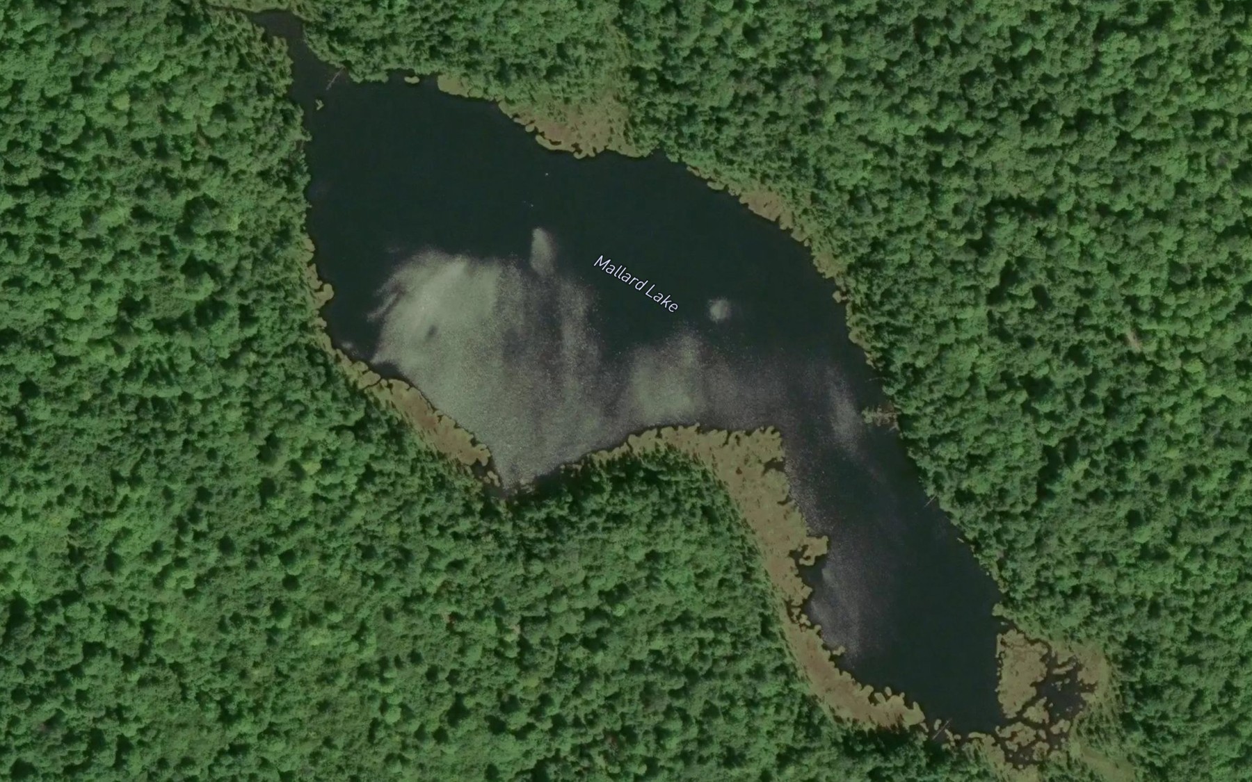 Satellite map of the Mallard Lake