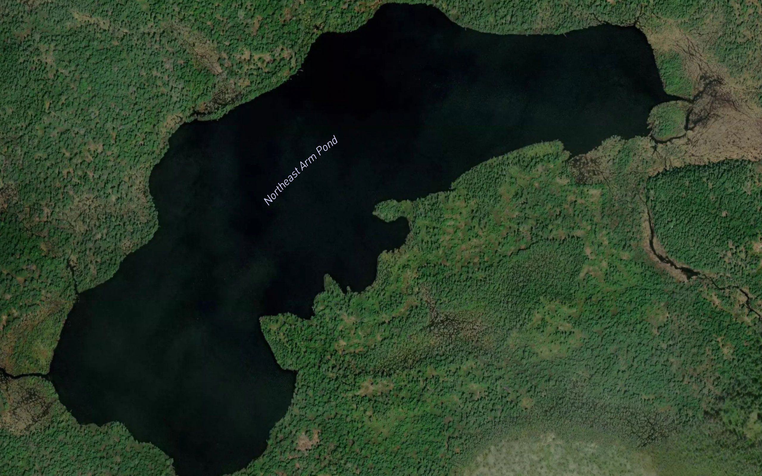Northeast Arm Pond