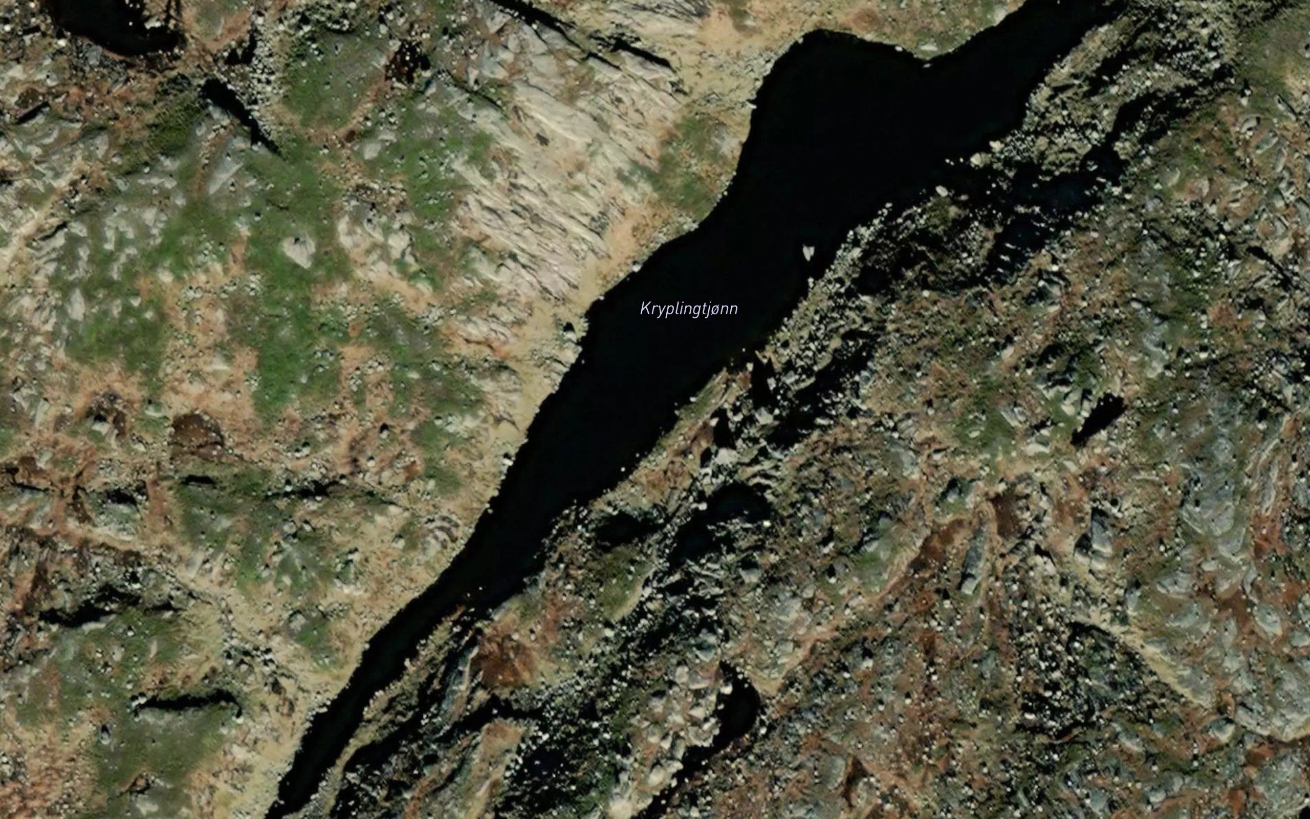 Kryplingtjorn