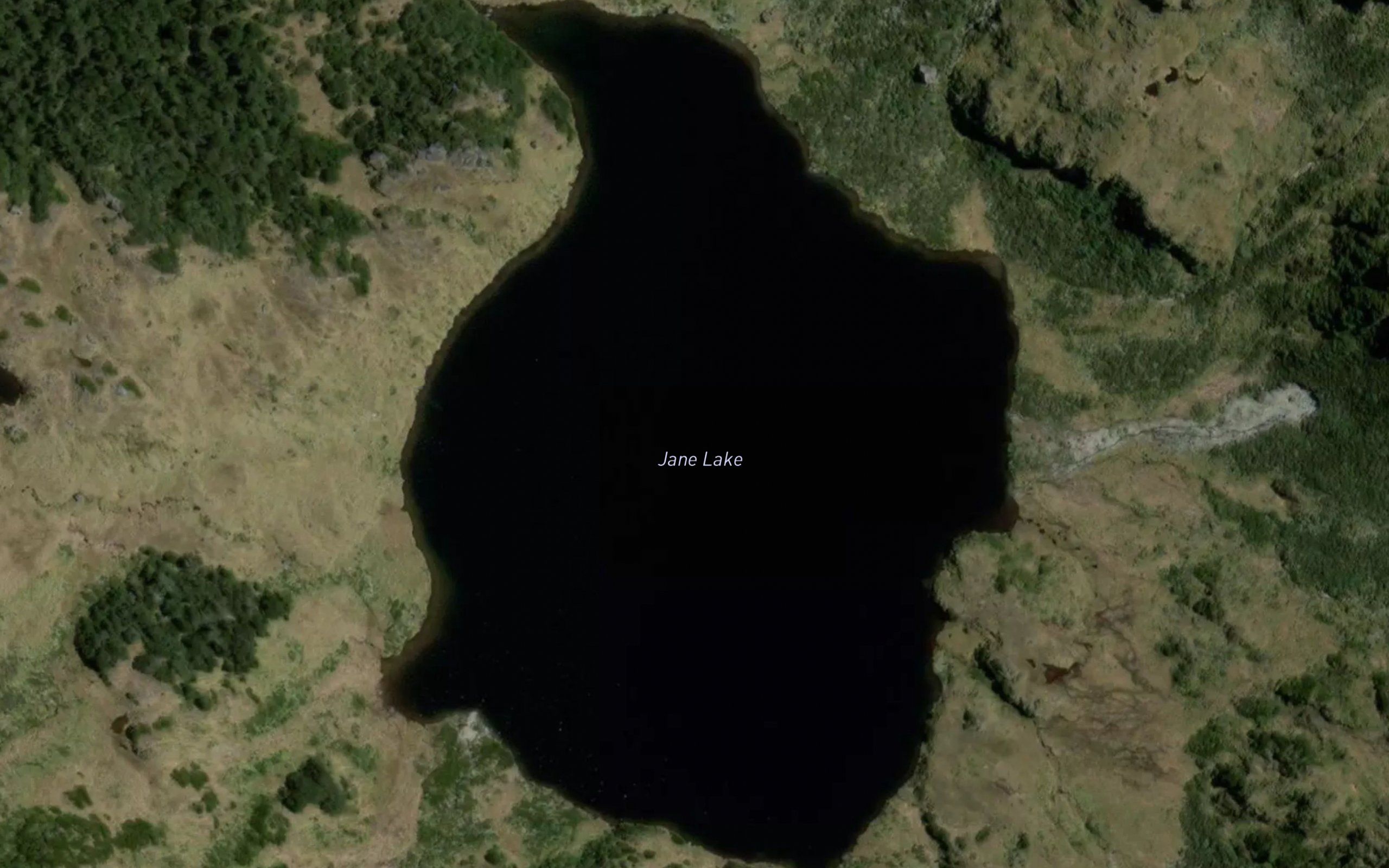 Jane Lake