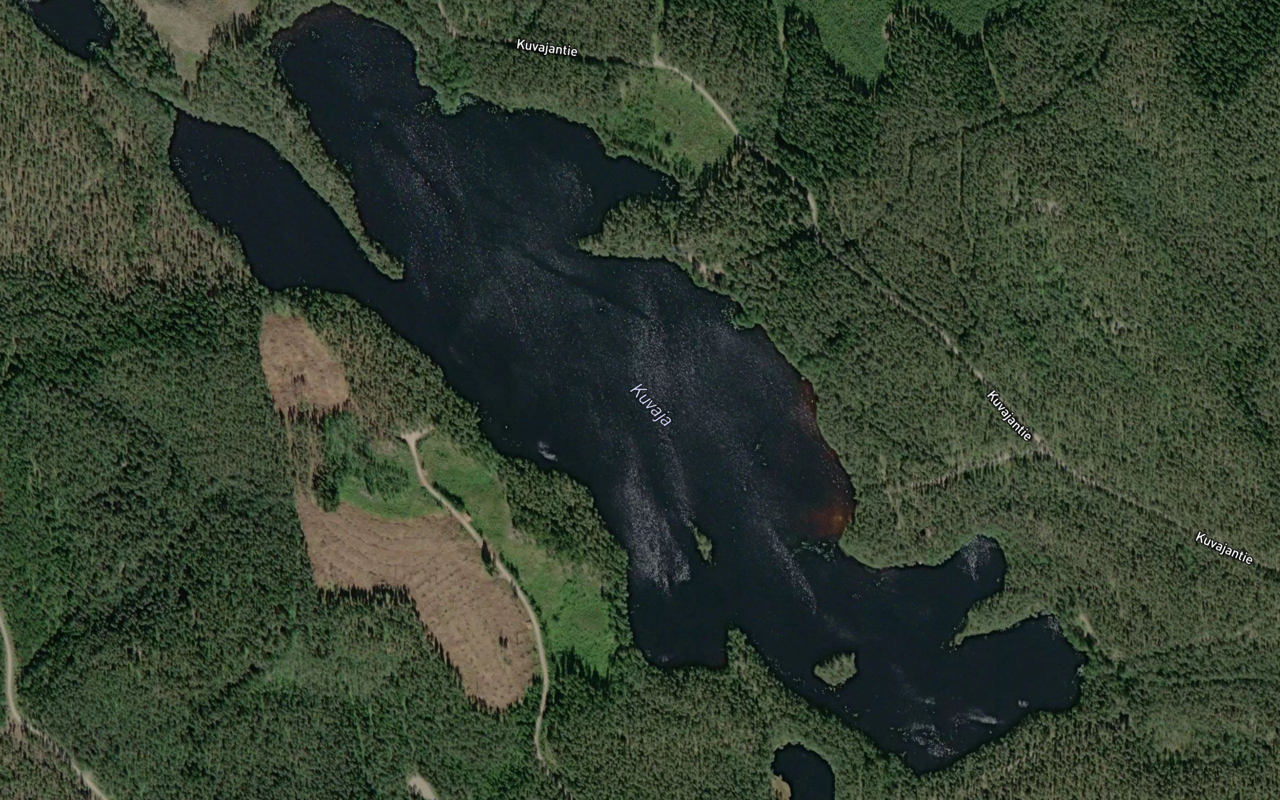Kuvaja