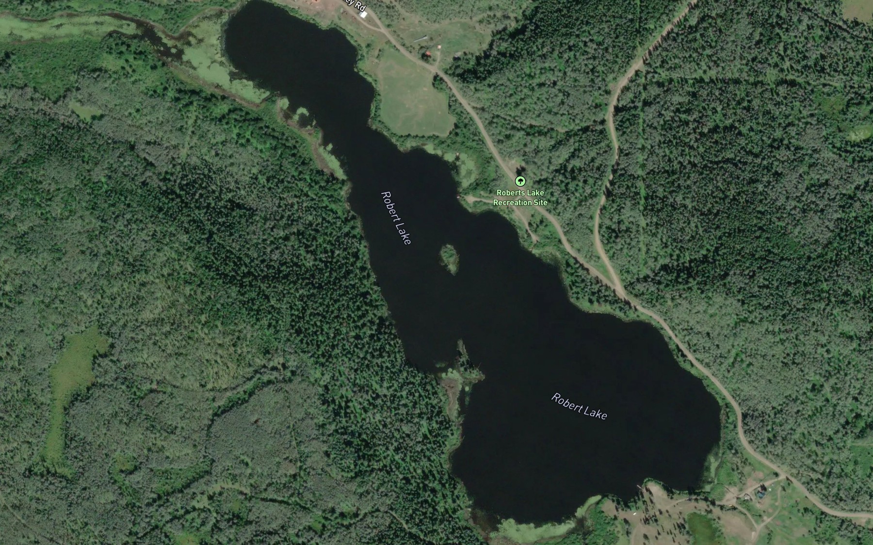 Satellite map of the Robert Lake