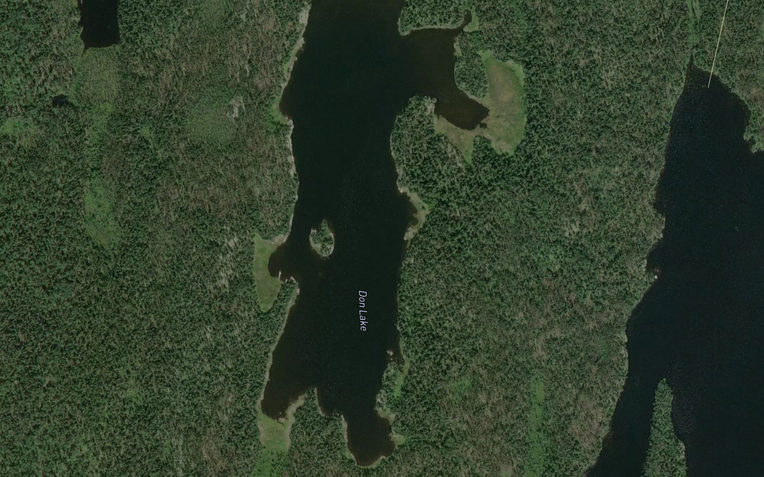 Don Lake