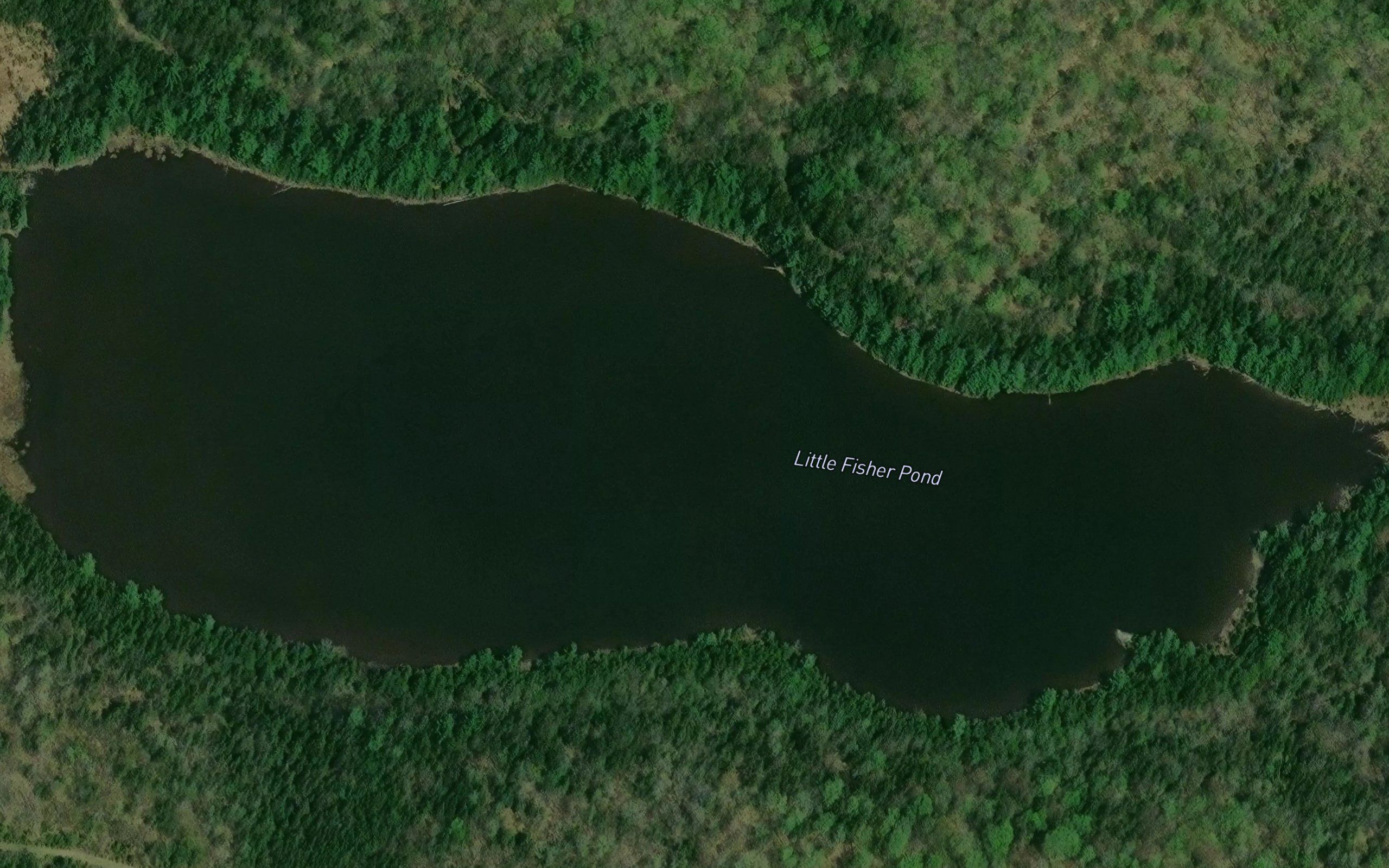 Little Fisher Pond