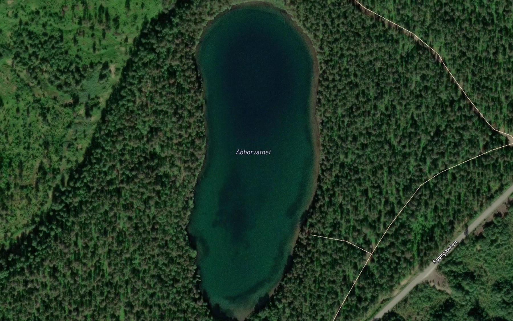 Satellite map of the Abborvatnet