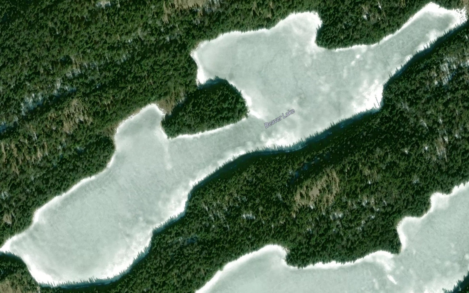 Satellite map of the Beaver Lake