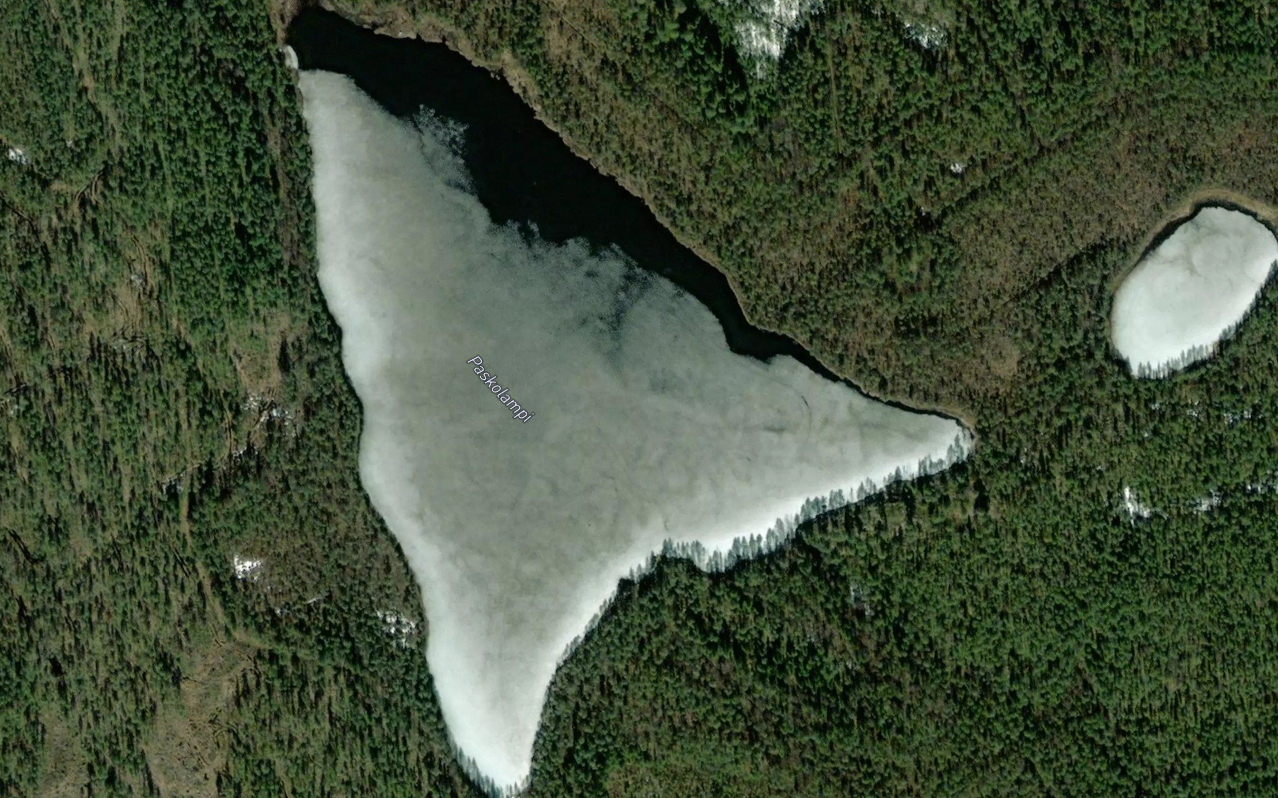 Paskolampi
