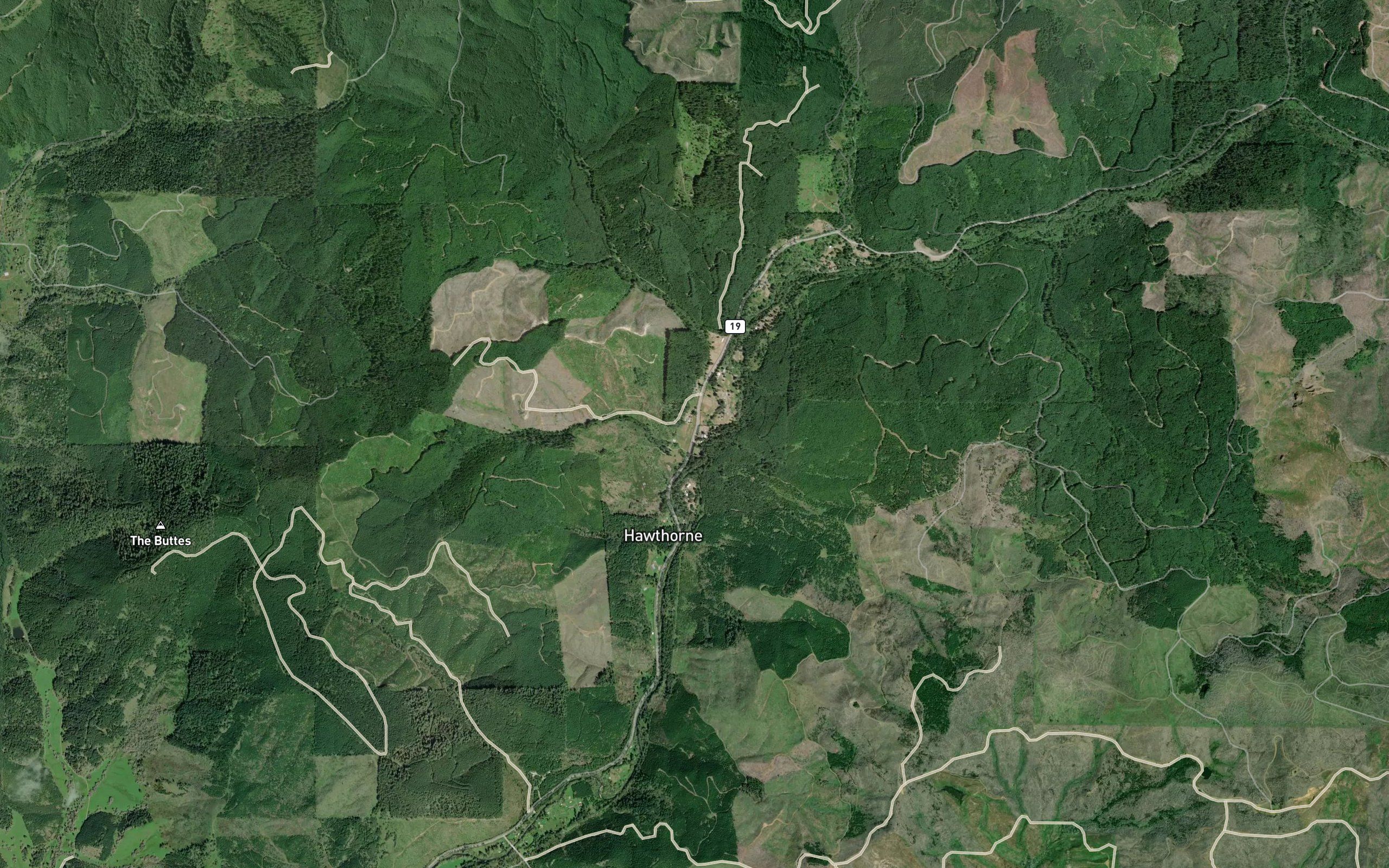 Timothy Creek
