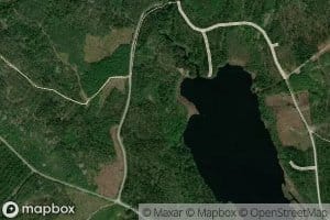 Koira Petaistonjarvi