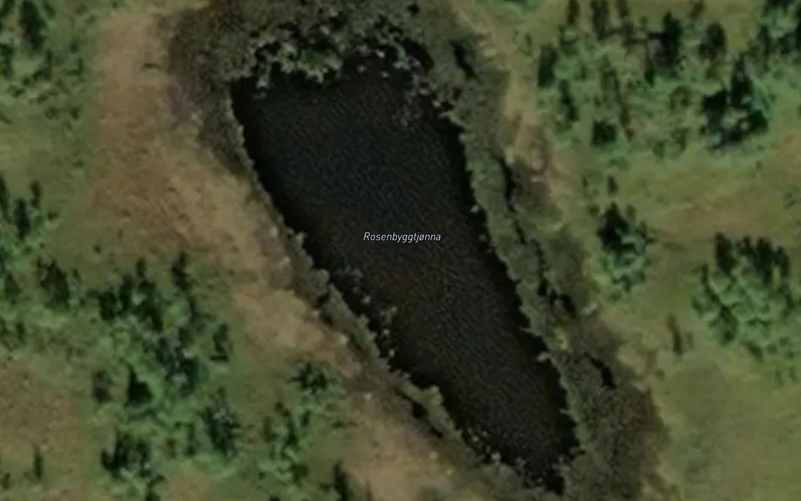 Rosenbyggtjorna