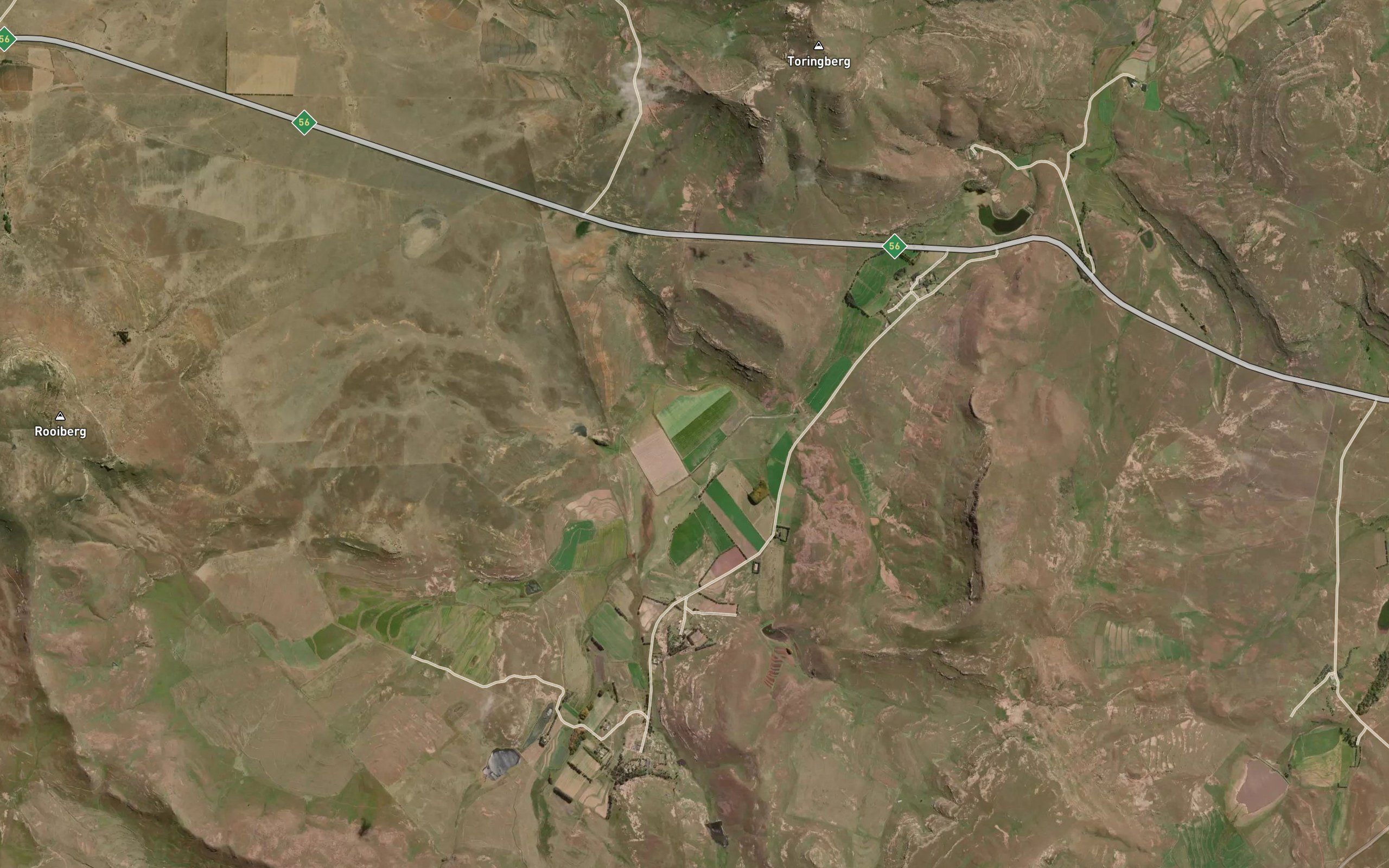 Vogel Vlei