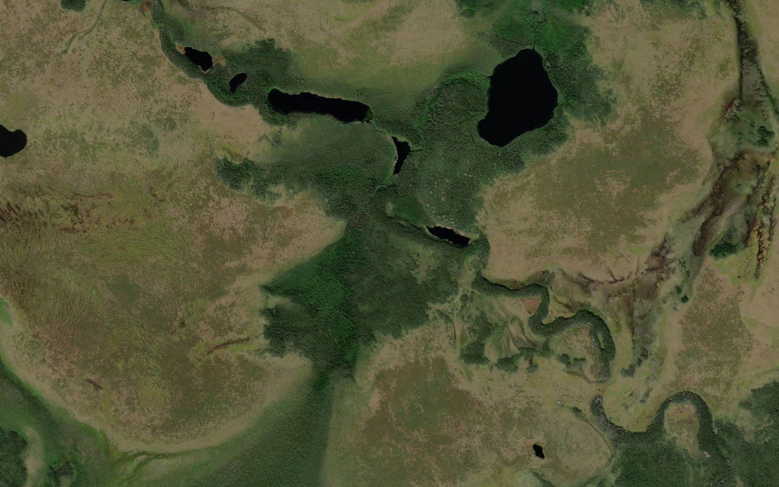Ozero Yelovoye