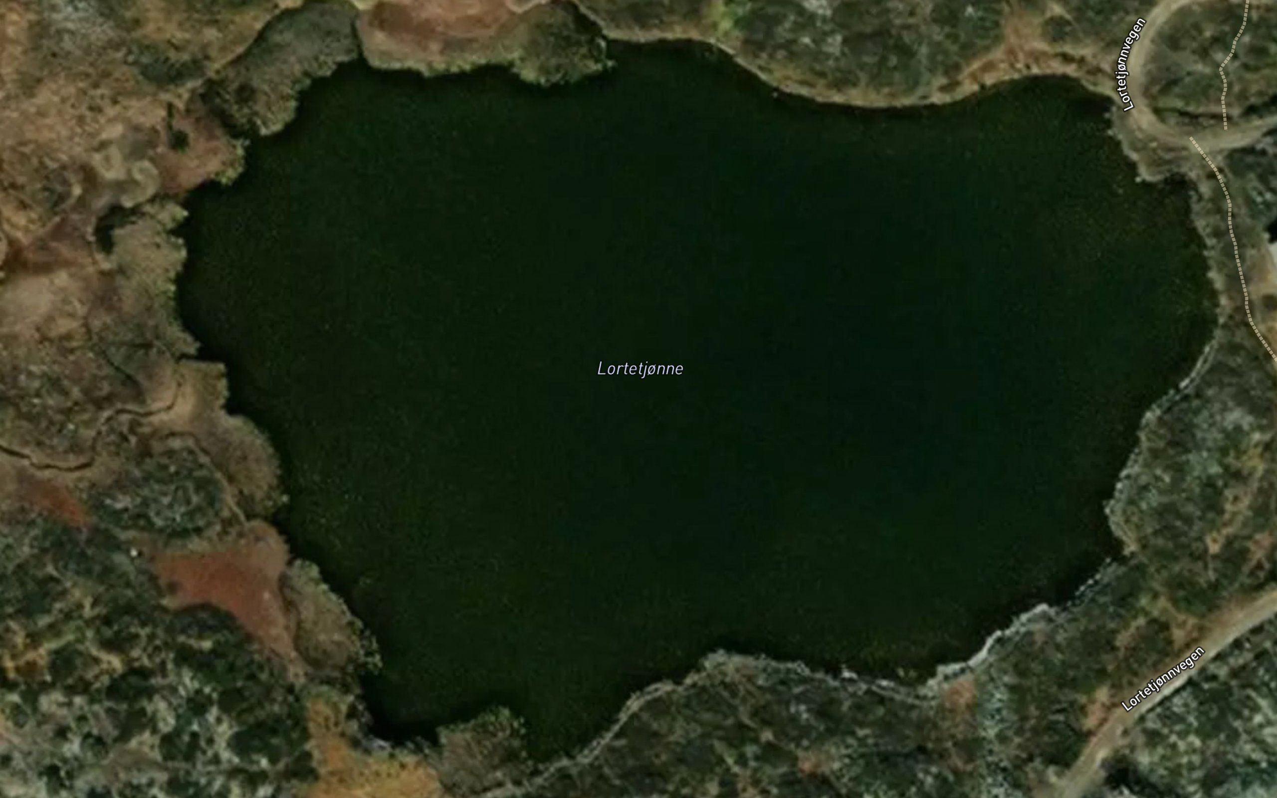 Lortetjorni