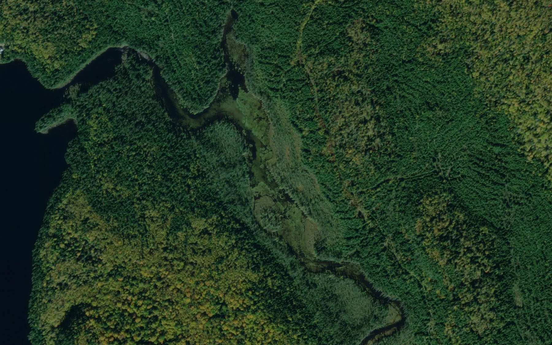 Satellite map of the Lac du Bras
