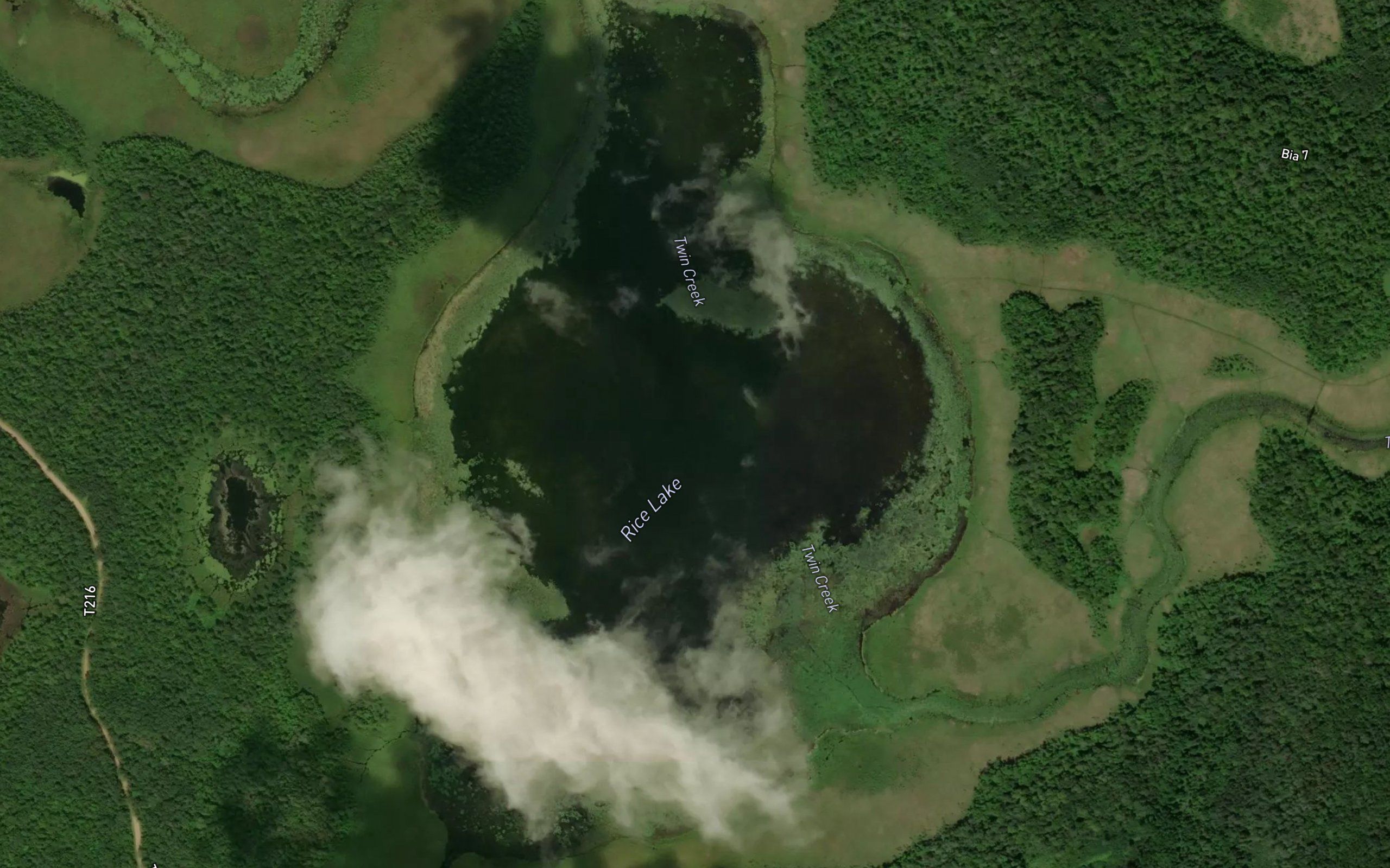 Rice Lake