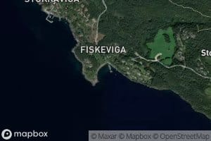 Fiskavika