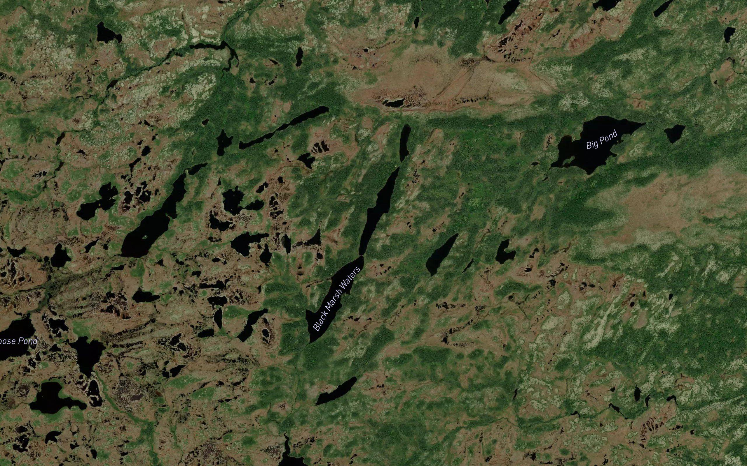 Black Marsh Waters