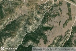 Pine Spring
