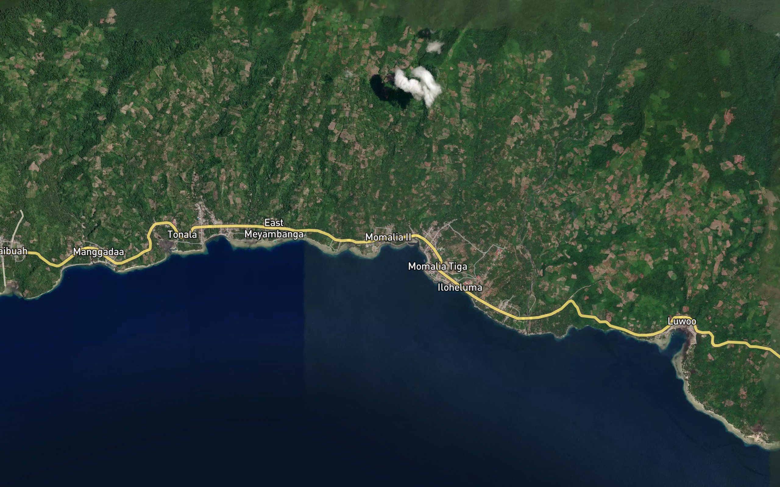 Dutula Momalia