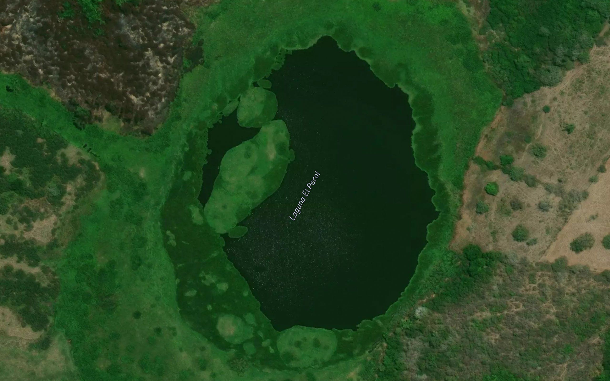 Laguna el Perol