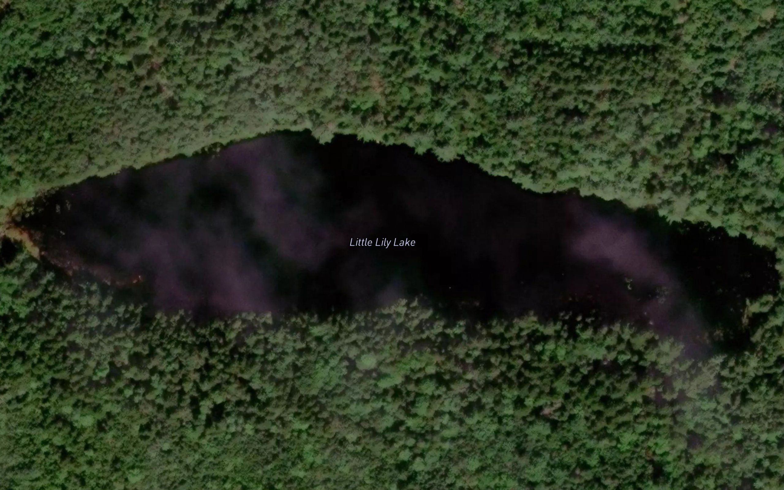 Little Lily Lake