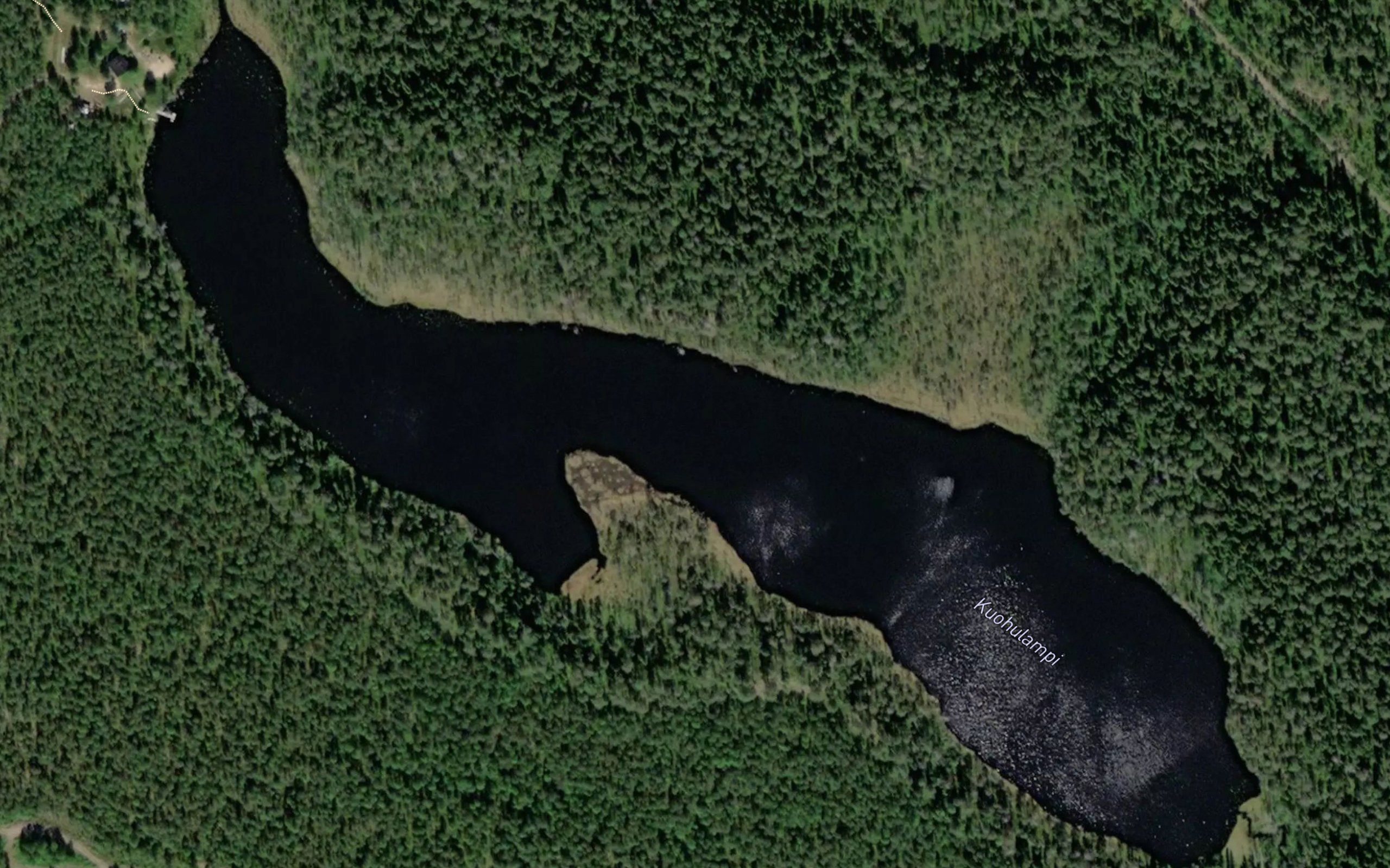 Kuohulampi