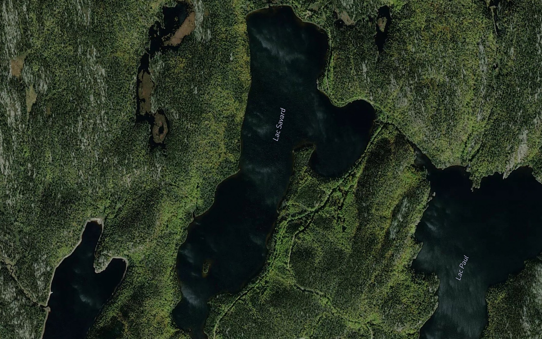 Satellite map of the Lac Savard