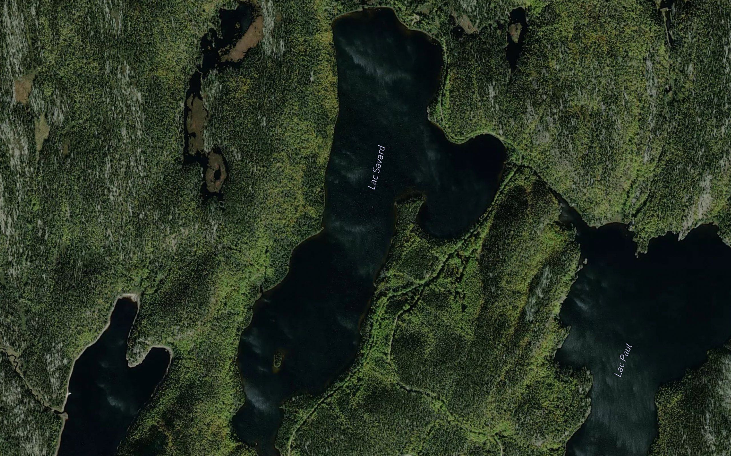 Lac Savard