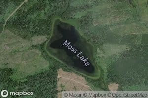 Moss Lake