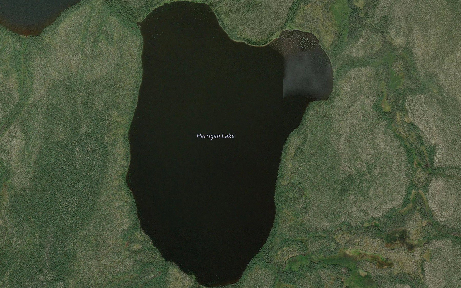 Satellite map of the Harrigan Lake