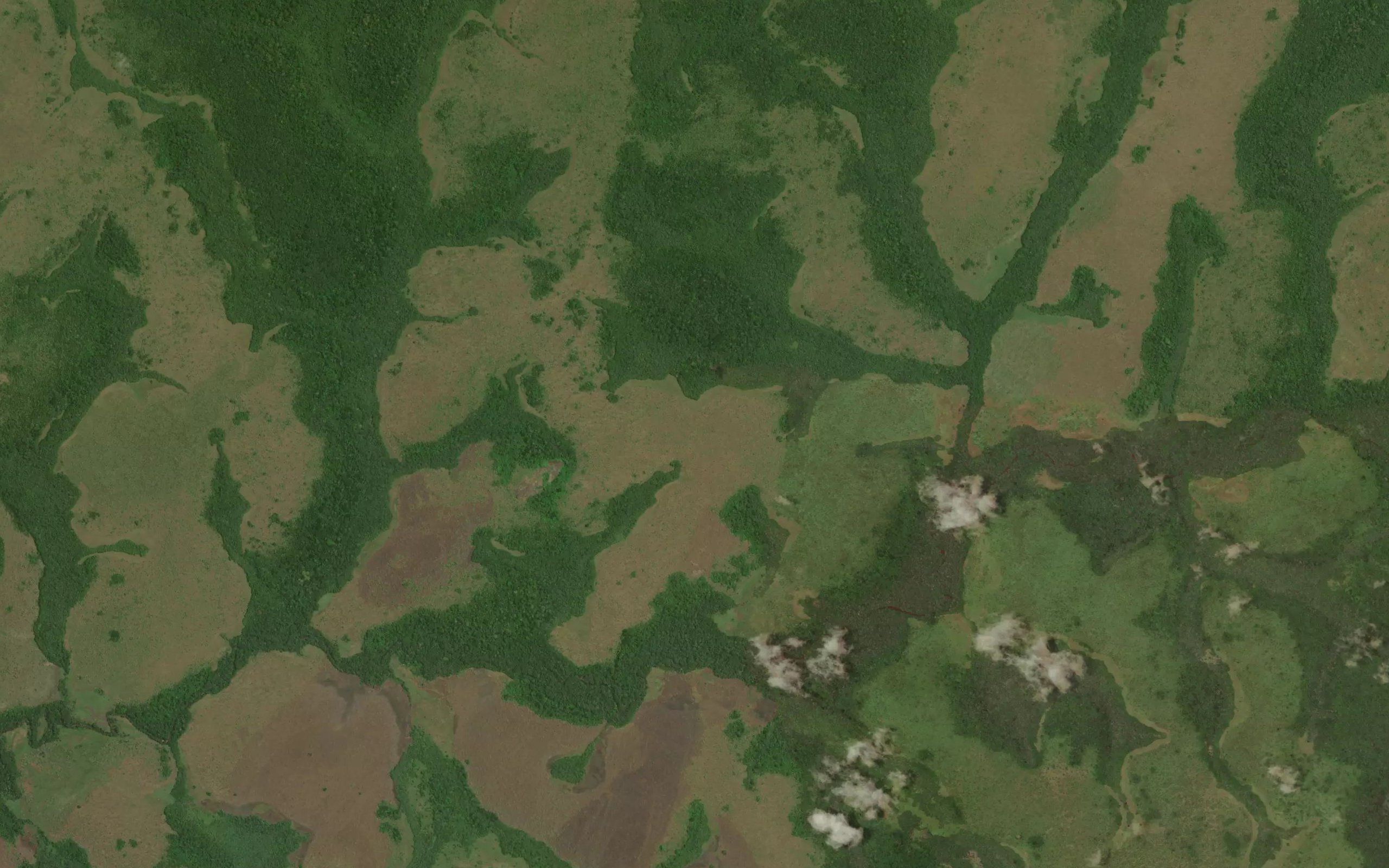 Pakoum